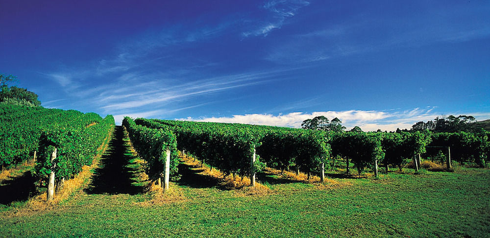 Vineyard Cottages - Kumeu Waimauku Экстерьер фото