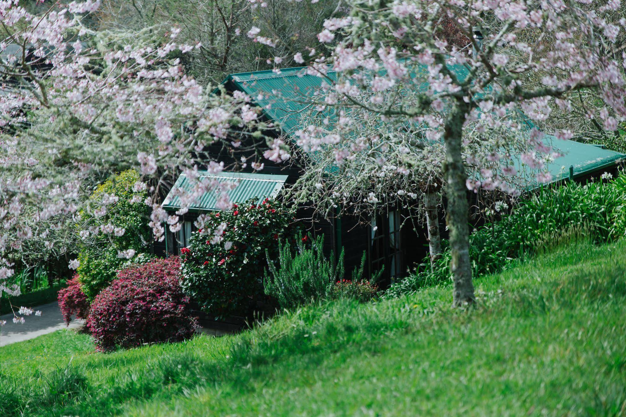 Vineyard Cottages - Kumeu Waimauku Экстерьер фото